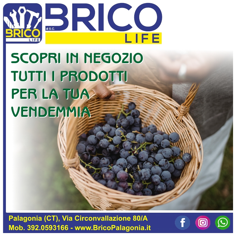 Foto News