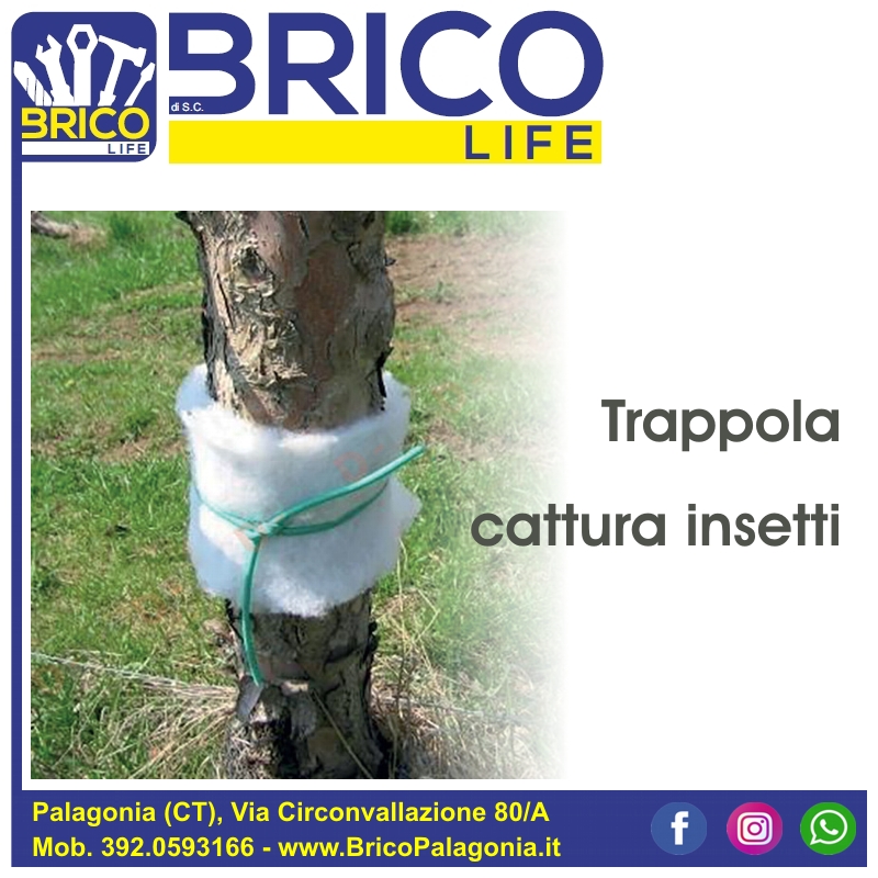 Foto News